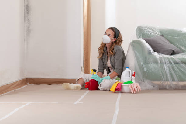 Reliable Mold Remediation contractor in McLean, TX by 24 Hour Mold Removal